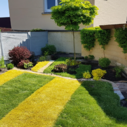 Abattage : enlevez les arbres dangereux ou indésirables de votre jardin en toute sécurité Lons-le-Saunier